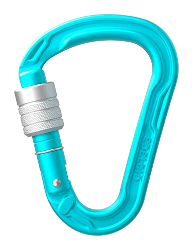 EDELRID Unisex – Erwachsene HMS Strike Screw Carabiner, Icemint, one Size EDELRID Unisex – Erwachsene HMS Strike Screw Carabiner, Icemint, one Size von EDELRID