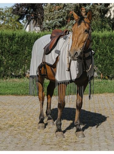 Ekkia Riding World Fliegenschutz-Ausreitdecke grau, QHP17_Gr.:150cm Ekkia Riding World Fliegenschutz-Ausreitdecke grau, QHP17_Gr.:150cm von EKKIA