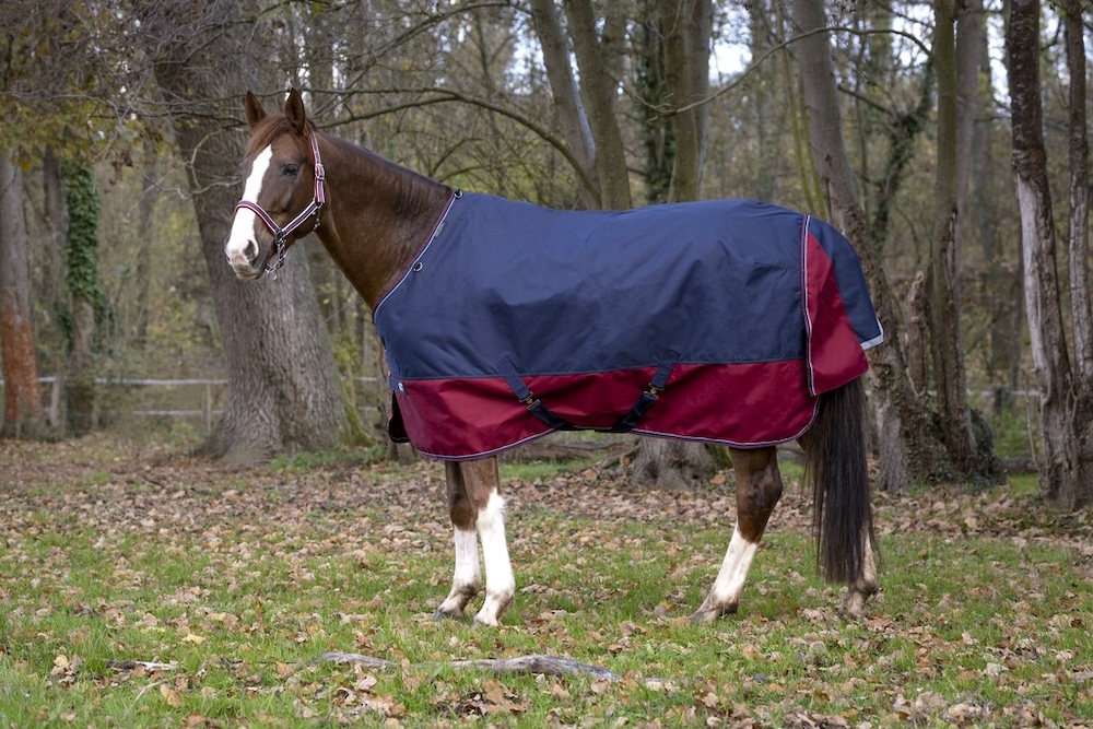 Equithème Decke "Tyrex 1200D" 0g Equithème Decke "Tyrex 1200D" 0g von EKKIA