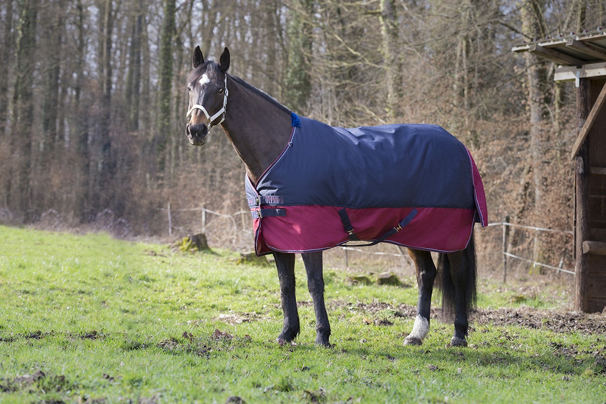 Equithème Decke "Tyrex 1200D" 150g Equithème Decke "Tyrex 1200D" 150g von EKKIA