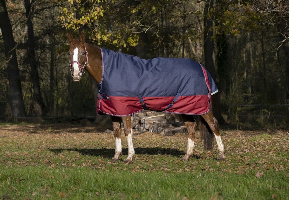 Equithème Decke "Tyrex 1200D" High Neck 0g Equithème Decke "Tyrex 1200D" High Neck 0g von EKKIA