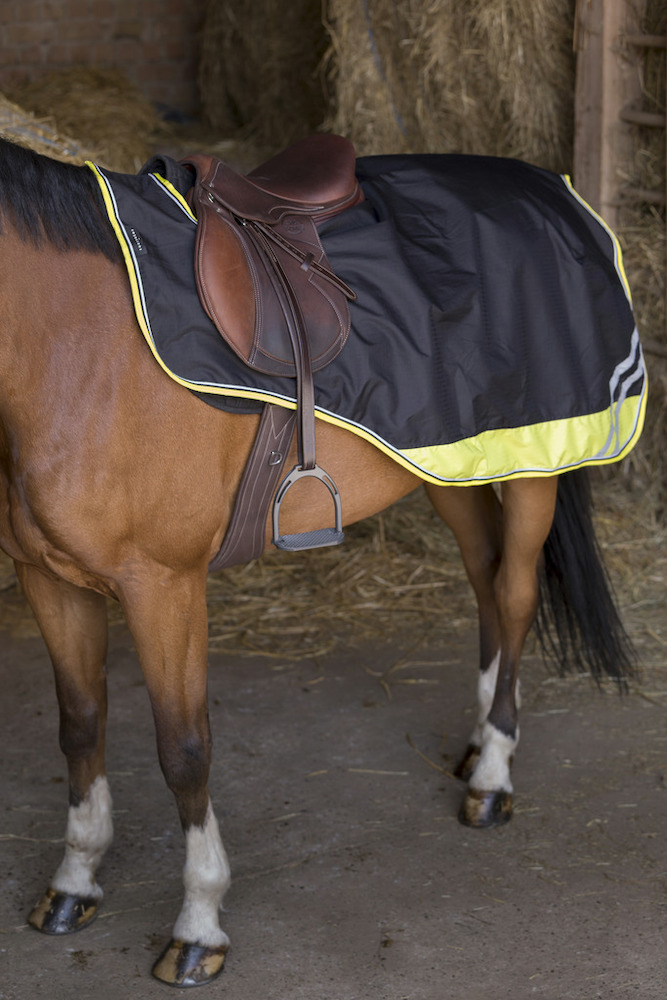 Equithème Nierendecke Tyrex 600D "Reflective" Equithème Nierendecke Tyrex 600D "Reflective" von EKKIA