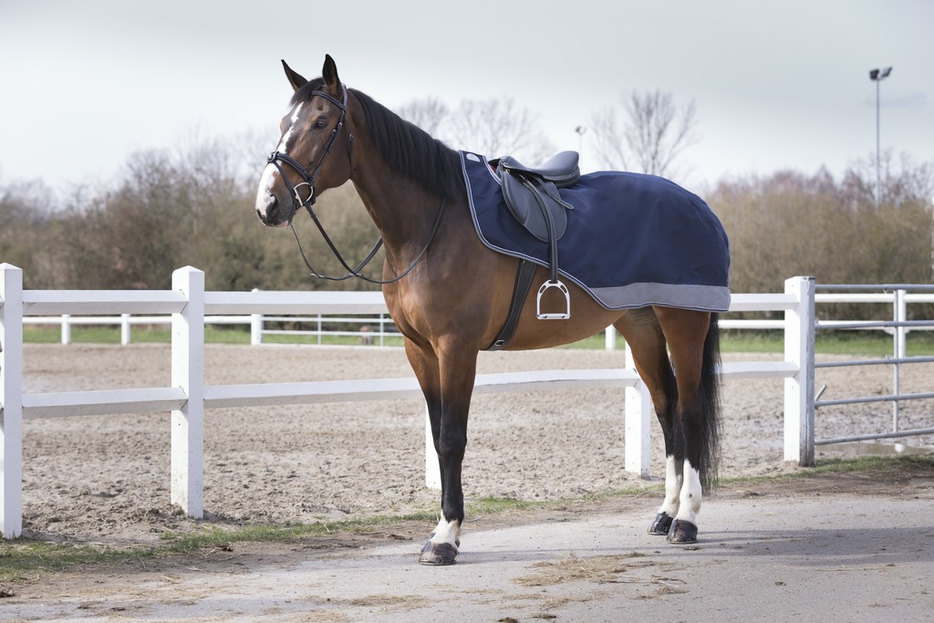 Equithème Nierendecke "Tyrex 600D" Equithème Nierendecke "Tyrex 600D" von EKKIA