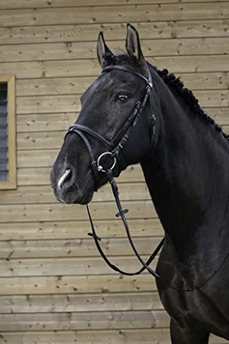 Riding World Trensenzaum Zusammen, Schwarz, Pferd Riding World Trensenzaum Zusammen, Schwarz, Pferd von EKKIA