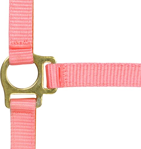 Unbekannt Nylon Equi Sparpack, rosa Unbekannt Nylon Equi Sparpack, rosa von EKKIA