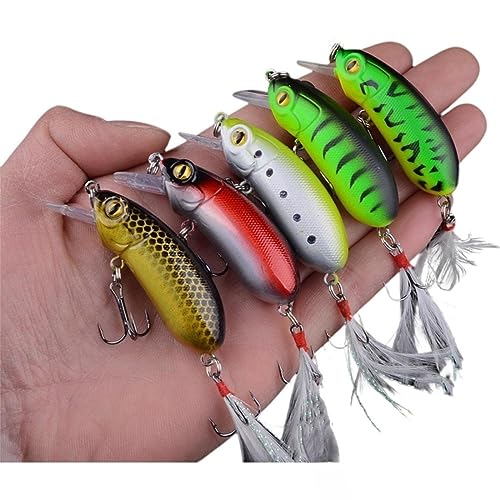 6 cm, 10 g,5pc Bionic Lure Set Topwater Lures, Bass Lures, Slow Sinking Bionic Swimming Bass Süßwasser Salzwasser Bass Imitation Köder 6 cm, 10 g,5pc Bionic Lure Set Topwater Lures, Bass Lures, Slow Sinking Bionic Swimming Bass Süßwasser Salzwasser Bass Imitation Köder von EKKJNQ