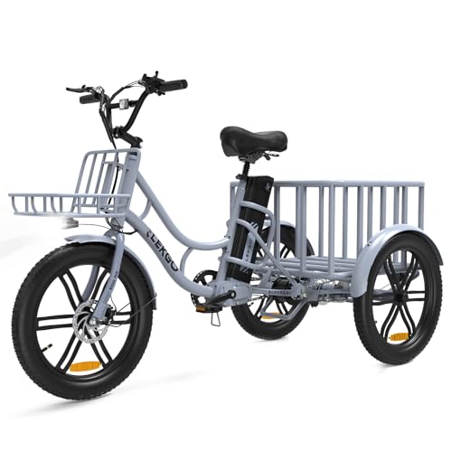 ELEKGO 20-Zoll Elektro Dreirad für Erwachsene,Cargo-E Bike, Elektrofahrräder, Fettreifen + hinterer Gepäckkorb und Scheinwerfer, 48V 18AH abnehmbare Batterie, Reichweite 40-60KM von ELEKGO