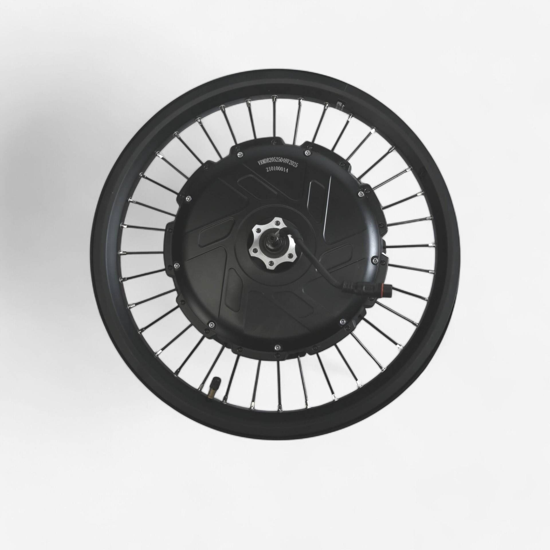 Hinterrad 20 Zoll Hohlkammerfelgen Motor 48 V 250 W Nennleistung 685 W Spitzenleistung Hinterrad 20 Zoll Hohlkammerfelgen Motor 48 V 250 W Nennleistung 685 W Spitzenleistung von ELOPS