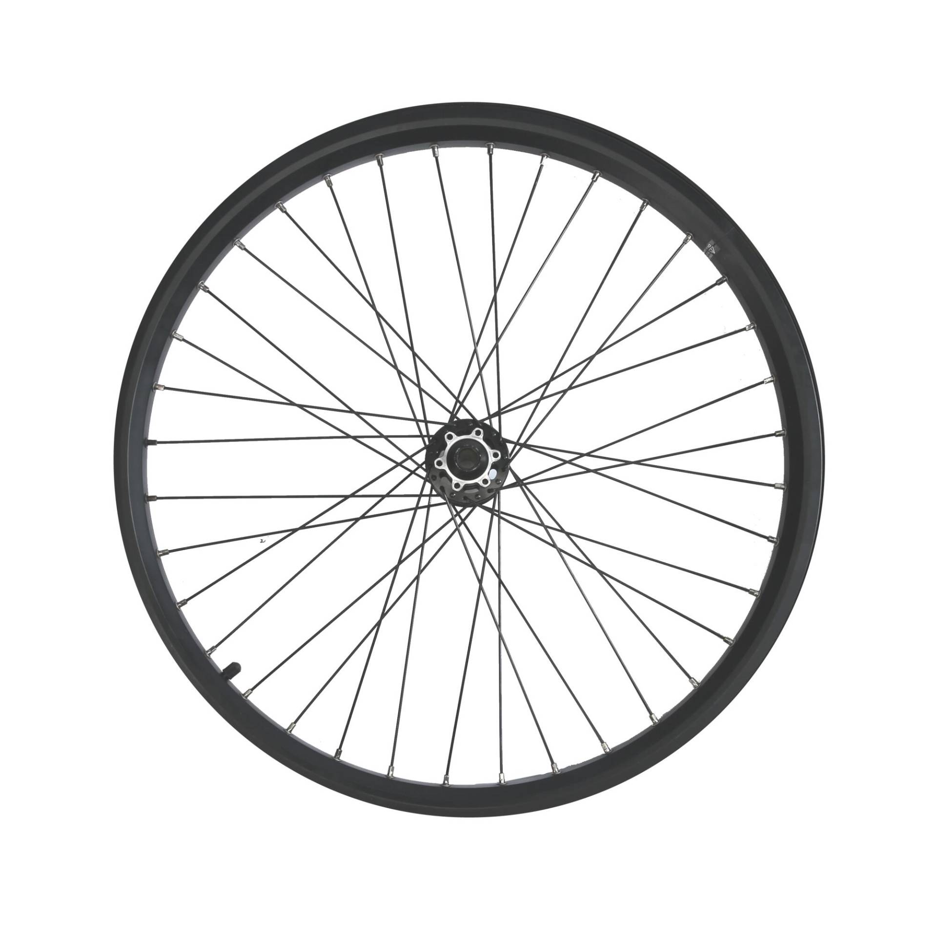 Vorderrad 26 Zoll Hohlkammer Scheibe für das E-Lastenfahrrad Cargobike R500E Longtail Vorderrad 26 Zoll Hohlkammer Scheibe für das E-Lastenfahrrad Cargobike R500E Longtail von ELOPS