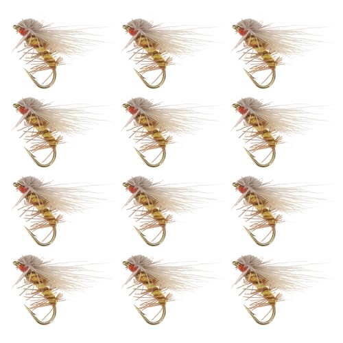 EMSea Trockenfliegen ohne Widerhaken, Seidenraupe, Mottenfliegen, handgeknüpft, zum Angeln, Forelle, Barsch, Lachs, 15 mm, 12 Stück EMSea Trockenfliegen ohne Widerhaken, Seidenraupe, Mottenfliegen, handgeknüpft, zum Angeln, Forelle, Barsch, Lachs, 15 mm, 12 Stück von EMSea