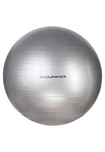 ENDURANCE Unisex – Erwachsene Gym Ball 75 cm, 8889 Silver, 75CM von ENDURANCE