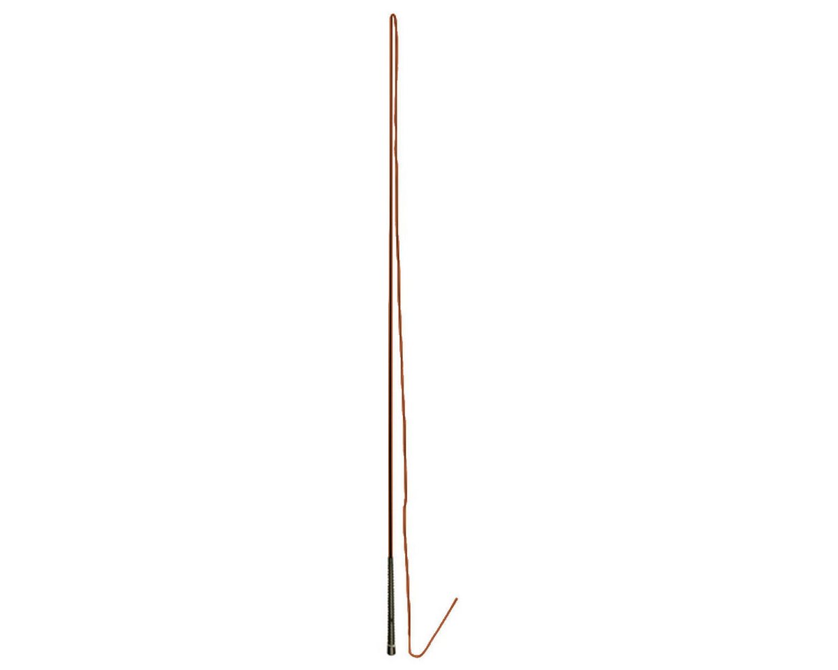 EQuest Longierpeitsche Longierpeitsche, mocha, 160 cm von EQuest