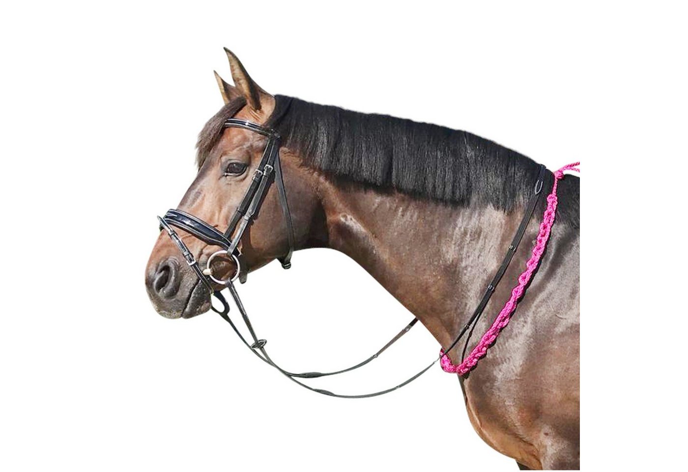 EQuest Zügel Beginner Balance Zügel, pink - 140 cm - hilft dem Pferd, das Gleichgew von EQuest
