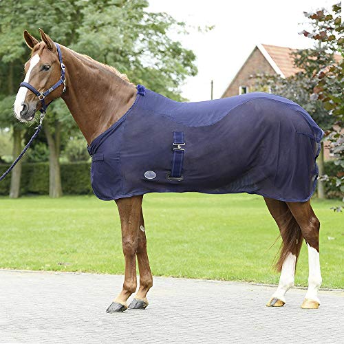 BUSSE everline Abschwitzdecke Summer-Fly II BUSSE everline Abschwitzdecke Summer-Fly II von Busse