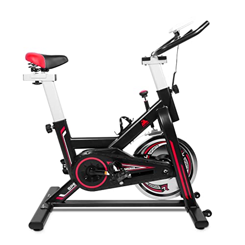 EVOLAND Heimtrainer für den Innenbereich, Profi-Heimtrainer, Fitnessfahrrad mit LCD-Display, Statische Stabilität Heimtrainer Fahrrad, Halterung für Wasserkocher, Verstellbarer Sitz von EVOLAND