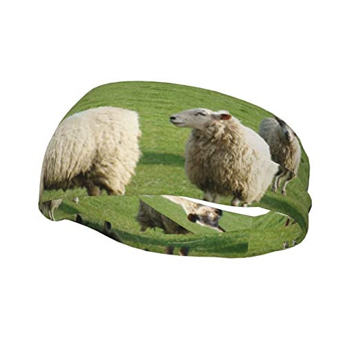 Schaf und Lämmchen, modisches Sport-Schweißband, für Herren und Damen, Stirnband für Fitness, Laufen, Sport von EWMAR