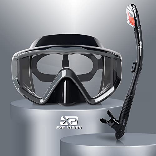 Trockenschnorchel-Set, Pano 3-Fenster-Schnorchelmaske, Anti-Fog-Taucherbrille und Schnorchel, professionelle Schnorchelausrüstung für Erwachsene (Premium Grau) von EXP VISION