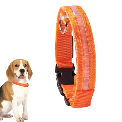 Eastuy LED-Hundehalsband | Leuchtendes Leuchthalsband für Hunde,Verstellbare, im Dunkeln leuchtende Halsbänder für Welpen, mittelgroße und kleine Hunde von Eastuy