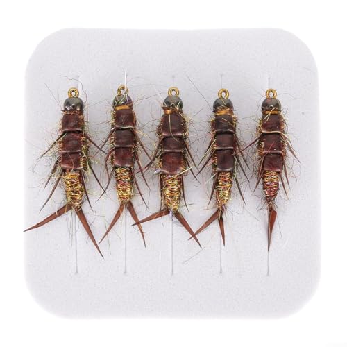 Fliegenfischköder-Set mit Box, Nymphe, Beadhead, Nassfischen, Trockenfliegen für Barsch, Forelle, Stahlkopf, Äsche, 5 Stück Fliegenfischköder-Set mit Box, Nymphe, Beadhead, Nassfischen, Trockenfliegen für Barsch, Forelle, Stahlkopf, Äsche, 5 Stück von EasyByMall
