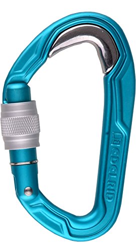 EDELRID Verschlusskarabiner Bulletproof Screw, icemint (329) EDELRID Verschlusskarabiner Bulletproof Screw, icemint (329) von EDELRID