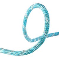 Edelrid Interstatic Protect 11.0mm Statikseil Edelrid Interstatic Protect 11.0mm Statikseil von Edelrid