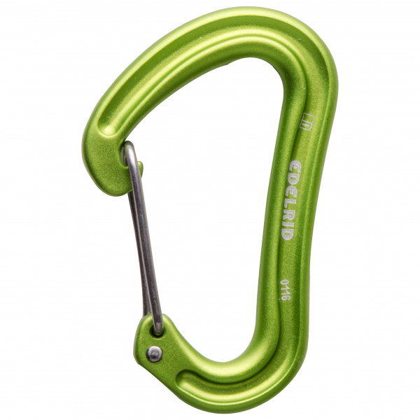 Edelrid - Nineteen G II - Schnappkarabiner grün Edelrid - Nineteen G II - Schnappkarabiner grün von Edelrid