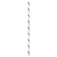 Edelrid Performance Static 10.5 mm Statikseil Edelrid Performance Static 10.5 mm Statikseil von Edelrid