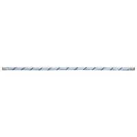 Edelrid Performance Static 9.0 Statikseil Edelrid Performance Static 9.0 Statikseil von Edelrid