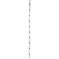 Edelrid Prostatic Synctec 10.5mm Statikseil Edelrid Prostatic Synctec 10.5mm Statikseil von Edelrid