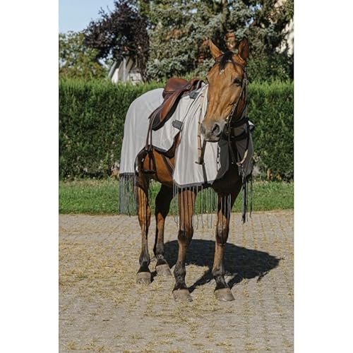 Ekkia Riding World Fliegenschutz-Ausreitdecke grau, QHP17_Gr.:155 Ekkia Riding World Fliegenschutz-Ausreitdecke grau, QHP17_Gr.:155 von EKKIA