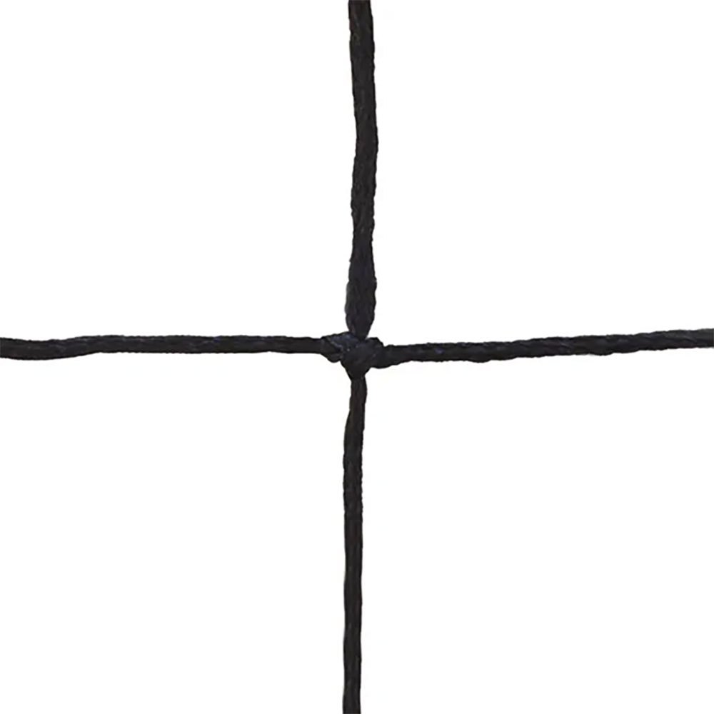 EmdÉ 3 Mm Braided Pe Simple Mesh 145 Goal Net 2 Units Silber EmdÉ 3 Mm Braided Pe Simple Mesh 145 Goal Net 2 Units Silber von EmdÉ
