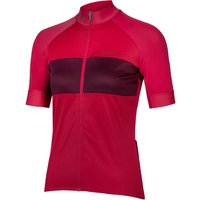ENDURA FS260-Pro Damentrikot, Größe L, Radtrikot, Fahrradbekleidung|ENDURA ENDURA FS260-Pro Damentrikot, Größe L, Radtrikot, Fahrradbekleidung|ENDURA von Endura