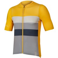 Endura Herren Pro SL Race Radtrikot von Endura