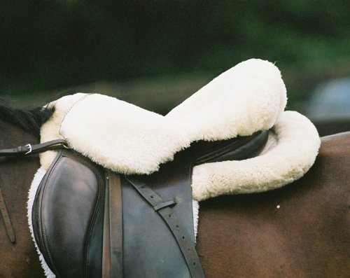Engel Reitsport Sattelsitzbezug Sattelauflage echtes Merino Lammfell SABEZ1-M-WEI für englische Reitsattel Farbe weiß Größe M Engel Reitsport Sattelsitzbezug Sattelauflage echtes Merino Lammfell SABEZ1-M-WEI für englische Reitsattel Farbe weiß Größe M von Engel Reitsport