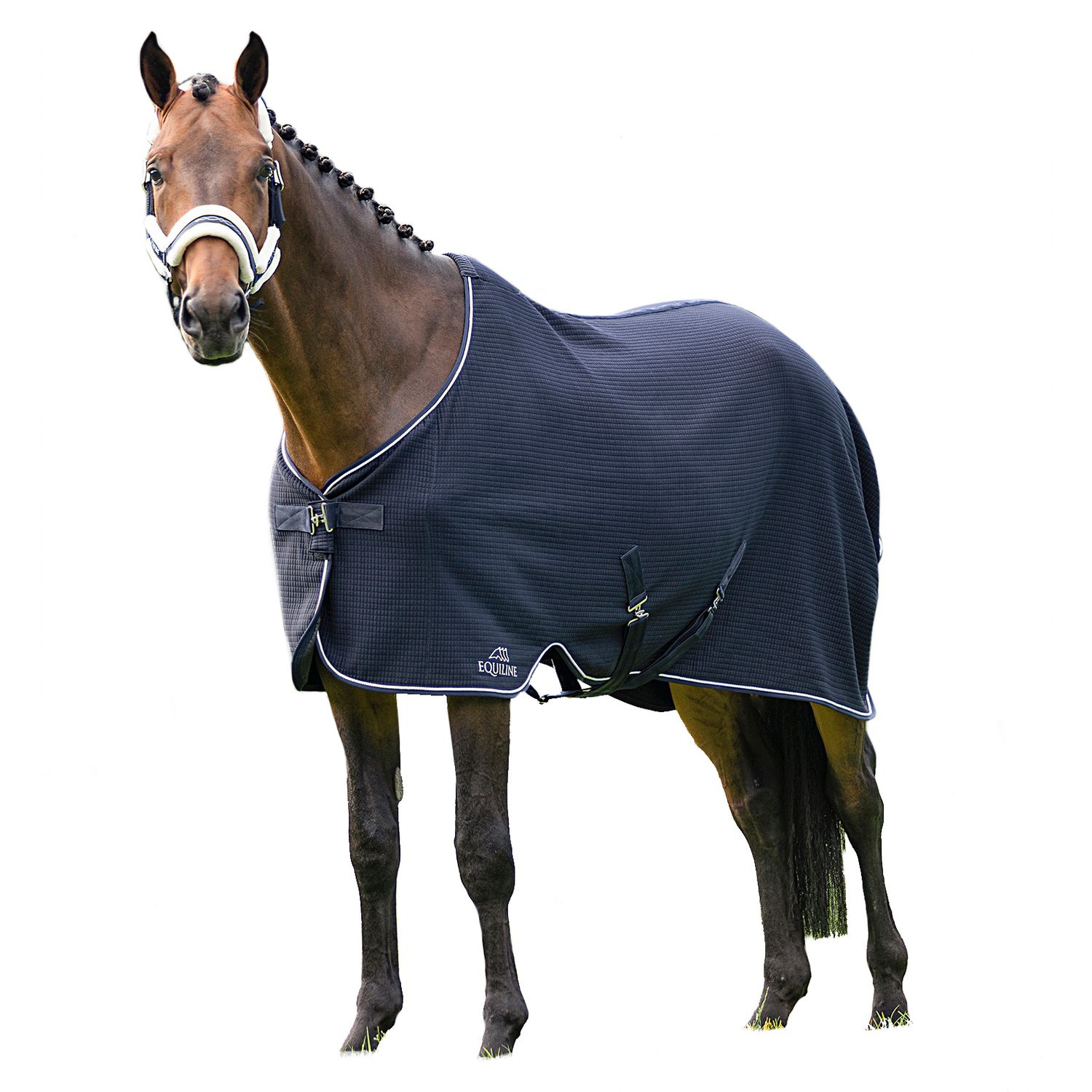 Equiline Climate Control Führanlagendecke Equiline Climate Control Führanlagendecke von Equiline