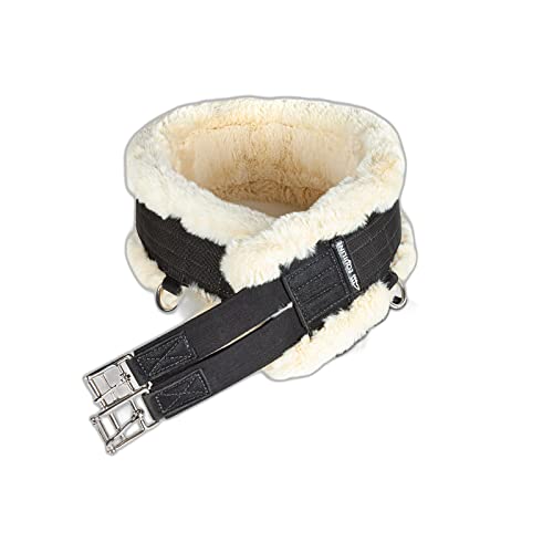 Equiline Gepolsterter Springgurt für Pferde Equiline Gepolsterter Springgurt für Pferde von Equiline