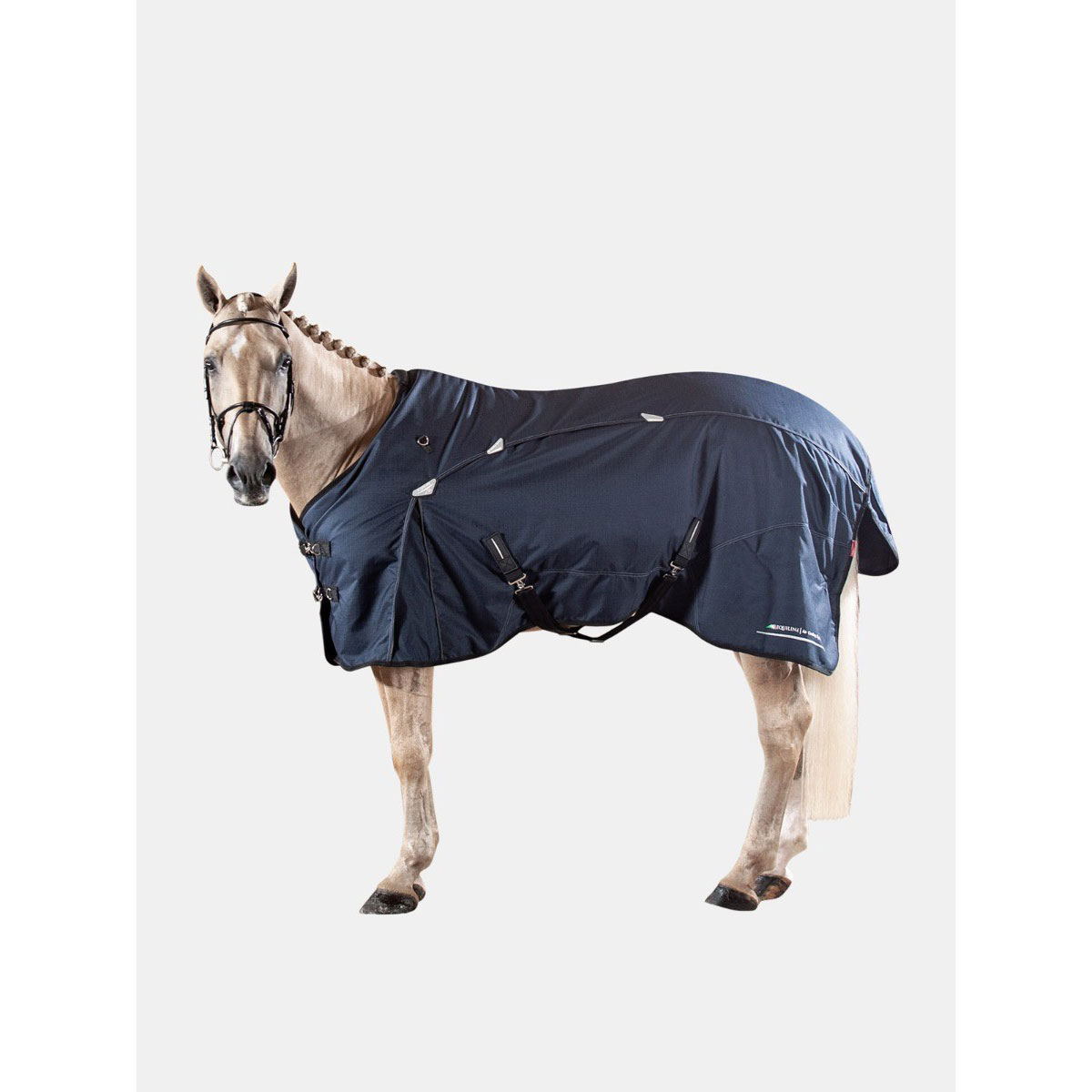 Equiline Ned wasserfeste Paddockdecke Equiline Ned wasserfeste Paddockdecke von Equiline