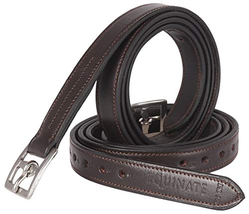 Equinate Leder Steigbügelriemen Superior mit Edelstahlschnallen Braun 160 Equinate Leder Steigbügelriemen Superior mit Edelstahlschnallen Braun 160 von Equinate