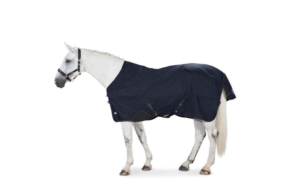 Eskadron Basics Alpha 350 Weidedecke Eskadron Basics Alpha 350 Weidedecke von Eskadron