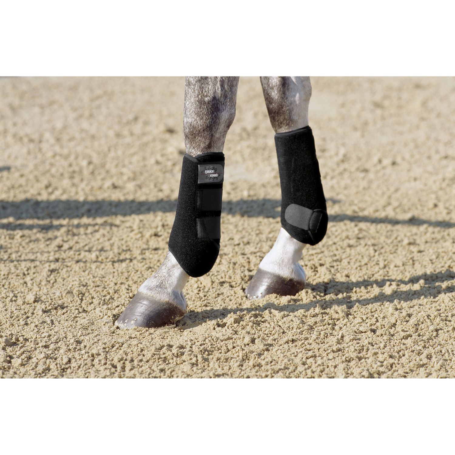 Eskadron Basics PRO Dressur Gamaschen hinten Eskadron Basics PRO Dressur Gamaschen hinten von Eskadron