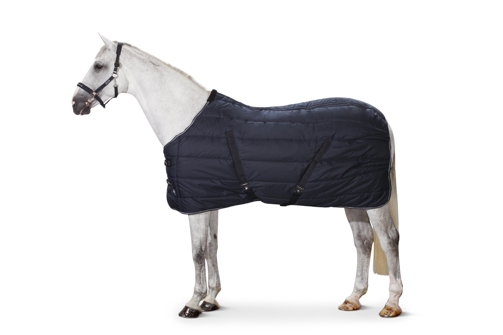 Eskadron Basics Ripstop Stable 400 Stalldecke Eskadron Basics Ripstop Stable 400 Stalldecke von Eskadron