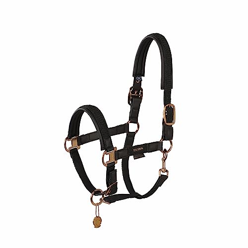 Eskadron Halfter Double PIN Plait Black Platinum 23, Größe:V Eskadron Halfter Double PIN Plait Black Platinum 23, Größe:V von Eskadron