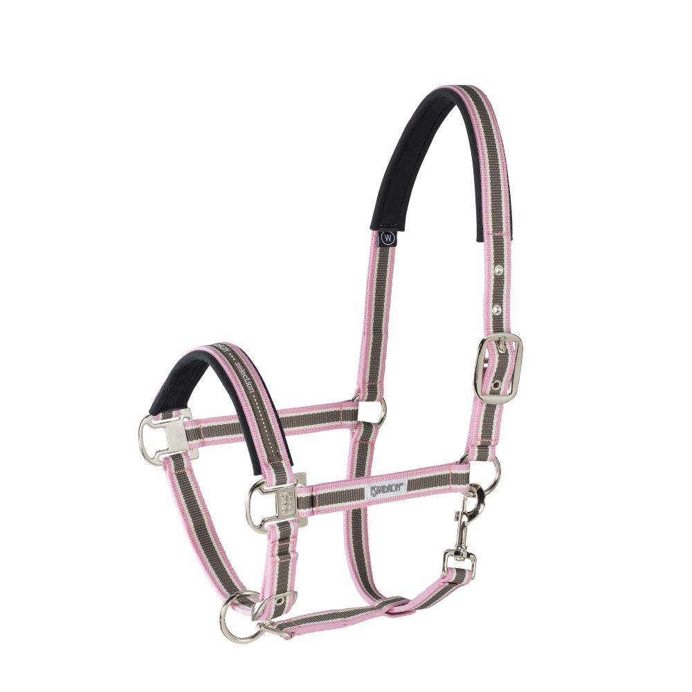 Halfter BASICS Dornschnalle silber Halfter BASICS Dornschnalle silber von Eskadron