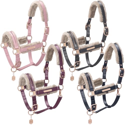 Halfter GLAMSLATE FF DOUBLE PIN Heritage 23/24 Halfter GLAMSLATE FF DOUBLE PIN Heritage 23/24 von Eskadron