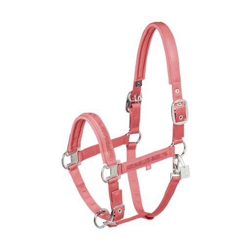 Halfter MATTGLOSS JEWEL DOUBLE PIN Classic Sports Frühjahr/Sommer Halfter MATTGLOSS JEWEL DOUBLE PIN Classic Sports Frühjahr/Sommer von Eskadron