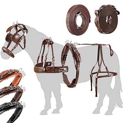 Esposita Einspännergeschirr „ Anatomic “ anatomisches Brustblatt Geschirr für Kutsche Einspänner Kutschgeschirr in Braun Gr. Shetty Esposita Einspännergeschirr „ Anatomic “ anatomisches Brustblatt Geschirr für Kutsche Einspänner Kutschgeschirr in Braun Gr. Shetty von Esposita