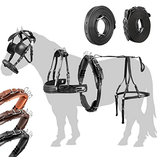 Esposita Einspännergeschirr „ Anatomic “ anatomisches Brustblatt Geschirr für Kutsche Einspänner Kutschgeschirr in Schwarz Gr. X-Shetty Esposita Einspännergeschirr „ Anatomic “ anatomisches Brustblatt Geschirr für Kutsche Einspänner Kutschgeschirr in Schwarz Gr. X-Shetty von Esposita