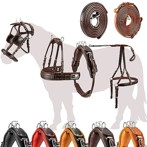 Esposita Einspännergeschirr „ Professional “ Kutschgeschirr für Shetty, Pony und Pferd Geschirr für Minishetty bis XL Kaltblut Fahrgeschirr für Einspänner Braun Gr. Shetty Esposita Einspännergeschirr „ Professional “ Kutschgeschirr für Shetty, Pony und Pferd Geschirr für Minishetty bis XL Kaltblut Fahrgeschirr für Einspänner Braun Gr. Shetty von Esposita