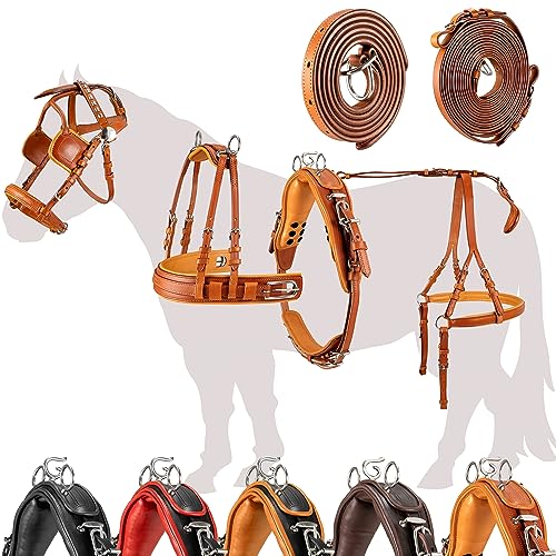 Esposita Einspännergeschirr „ Professional “ Kutschgeschirr für Shetty, Pony und Pferd Geschirr für Minishetty bis XL Kaltblut Fahrgeschirr für Einspänner Hellbraun Gr. Mini Shetty Esposita Einspännergeschirr „ Professional “ Kutschgeschirr für Shetty, Pony und Pferd Geschirr für Minishetty bis XL Kaltblut Fahrgeschirr für Einspänner Hellbraun Gr. Mini Shetty von Esposita
