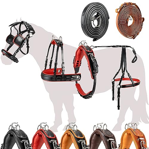 Esposita Einspännergeschirr „ Professional “ Kutschgeschirr für Shetty, Pony und Pferd Geschirr für Minishetty bis XL Kaltblut Fahrgeschirr für Einspänner Schwarz-Rot Gr. Mini Shetty Esposita Einspännergeschirr „ Professional “ Kutschgeschirr für Shetty, Pony und Pferd Geschirr für Minishetty bis XL Kaltblut Fahrgeschirr für Einspänner Schwarz-Rot Gr. Mini Shetty von Esposita